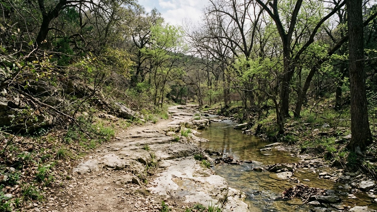 A dry limestone shelf trail running beside a shallow clear creek in a wooded canyon, bare and leafing trees overhead, worn rock underfoot, nobody in frame